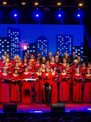 simtex - kolekcija - kralj